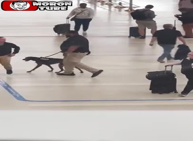 Video: He loses his job after being caught abusing his dog